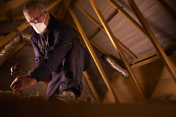 Best Specialized Insulation Services in Siesta Key, FL