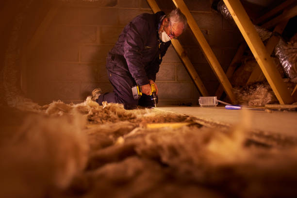 Best Eco-Friendly Insulation in Siesta Key, FL
